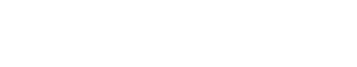 My Naughty Fling Blog Logo